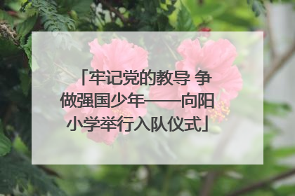 牢记党的教导 争做强国少年——向阳小学举行入队仪式
