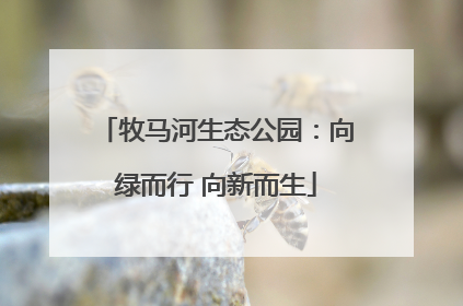 牧马河生态公园：向绿而行 向新而生