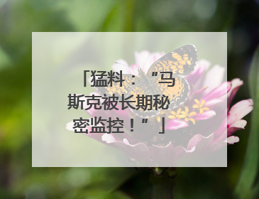猛料：“马斯克被长期秘密监控！”