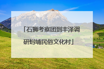 石狮考察团到丰泽调研蟳埔民俗文化村