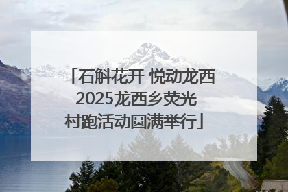 石斛花开 悦动龙西 2025龙西乡荧光村跑活动圆满举行
