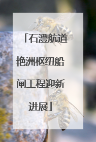 石澧航道艳洲枢纽船闸工程迎新进展