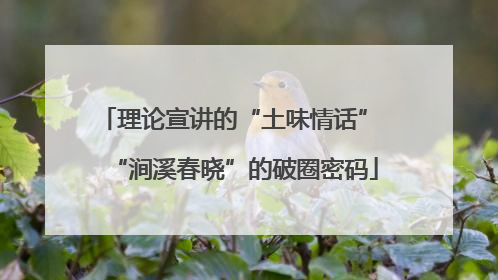 理论宣讲的“土味情话” “涧溪春晓”的破圈密码