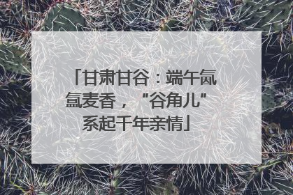 甘肃甘谷：端午氤氲麦香，“谷角儿”系起千年亲情