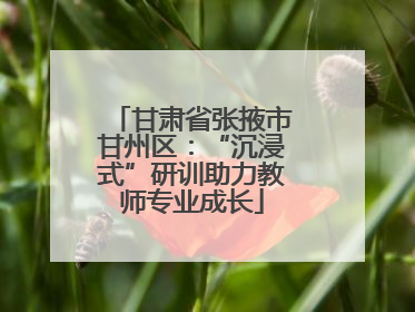 甘肃省张掖市甘州区：“沉浸式”研训助力教师专业成长