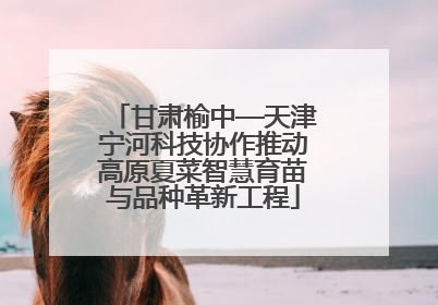 甘肃榆中—天津宁河科技协作推动高原夏菜智慧育苗与品种革新工程