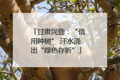 甘肃民勤：“信用种树” 汗水浇出“绿色存折”