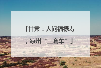 甘肃：人间福禄寿，凉州“三套车”