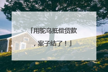 用鸵鸟抵偿货款，案子结了！