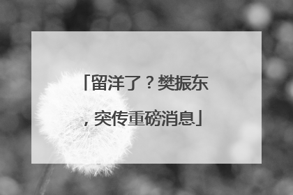 留洋了？樊振东，突传重磅消息
