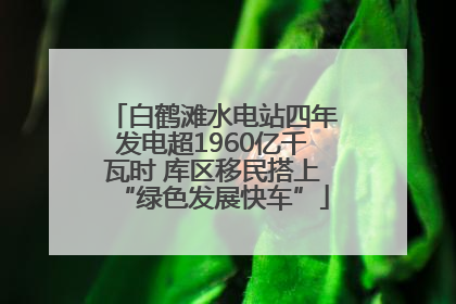 白鹤滩水电站四年发电超1960亿千瓦时 库区移民搭上“绿色发展快车”