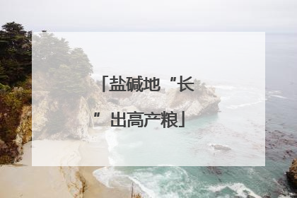 盐碱地“长”出高产粮