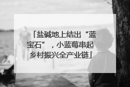 盐碱地上结出“蓝宝石”，小蓝莓串起乡村振兴全产业链