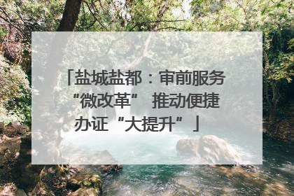 盐城盐都：审前服务“微改革” 推动便捷办证“大提升”