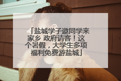盐城学子邀同学来家乡 政府请客！这个暑假，大学生多项福利免费游盐城
