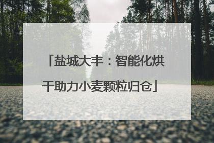 盐城大丰：智能化烘干助力小麦颗粒归仓