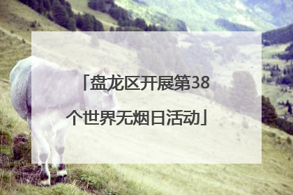 盘龙区开展第38个世界无烟日活动