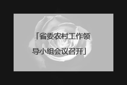省委农村工作领导小组会议召开