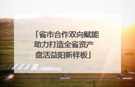 省市合作双向赋能 助力打造全省资产盘活益阳新样板