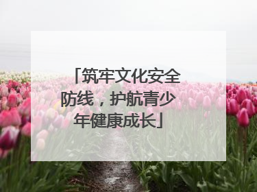 筑牢文化安全防线，护航青少年健康成长
