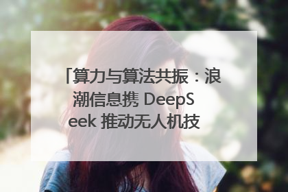 算力与算法共振：浪潮信息携 DeepSeek 推动无人机技术在舟山落地