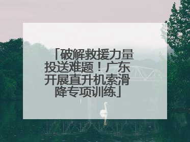 破解救援力量投送难题！广东开展直升机索滑降专项训练