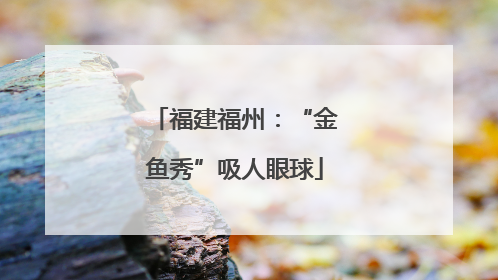 福建福州：“金鱼秀”吸人眼球
