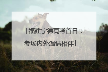 福建宁德高考首日：考场内外温情相伴