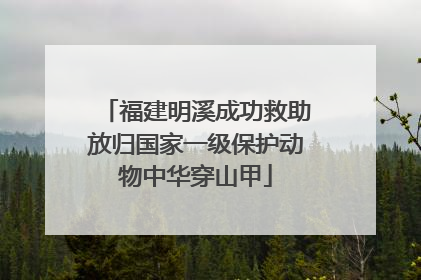 福建明溪成功救助放归国家一级保护动物中华穿山甲