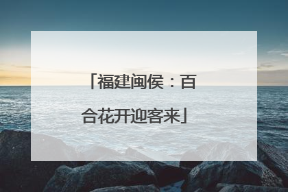 福建闽侯：百合花开迎客来