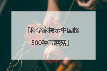 科学家揭示中国超500种毒蘑菇