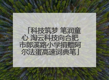科技筑梦 笔润童心 淘云科技向合肥市郎溪路小学捐赠阿尔法蛋高速词典笔