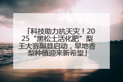 科技助力抗天灾！2025“黑松土活化肥”梨王大赛隰县启动，旱地香梨种植迎来新希望