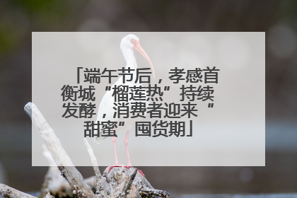 端午节后，孝感首衡城“榴莲热”持续发酵，消费者迎来“甜蜜”囤货期