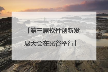 第三届软件创新发展大会在光谷举行