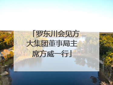 罗东川会见方大集团董事局主席方威一行