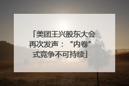 美团王兴股东大会再次发声:“内卷”式竞争不可持续