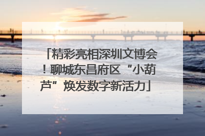 精彩亮相深圳文博会！聊城东昌府区“小葫芦”焕发数字新活力
