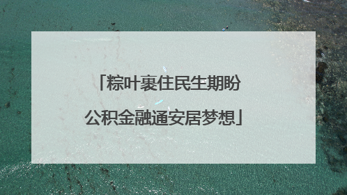 粽叶裹住民生期盼 公积金融通安居梦想