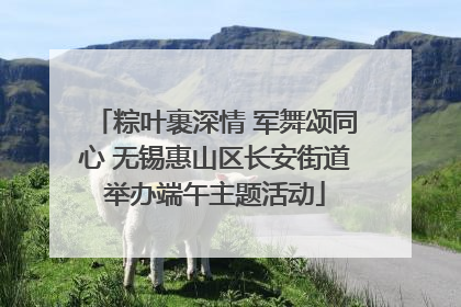 粽叶裹深情 军舞颂同心 无锡惠山区长安街道举办端午主题活动