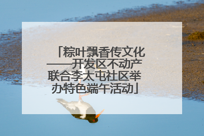 粽叶飘香传文化——开发区不动产联合李太屯社区举办特色端午活动