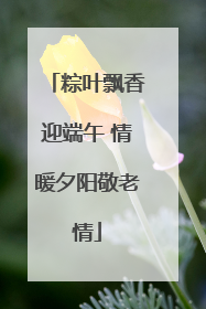 粽叶飘香迎端午 情暖夕阳敬老情