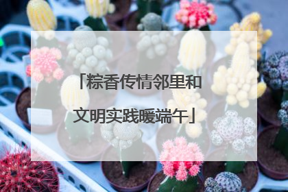 粽香传情邻里和 文明实践暖端午