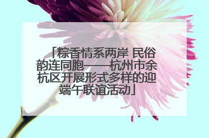 粽香情系两岸 民俗韵连同胞——杭州市余杭区开展形式多样的迎端午联谊活动