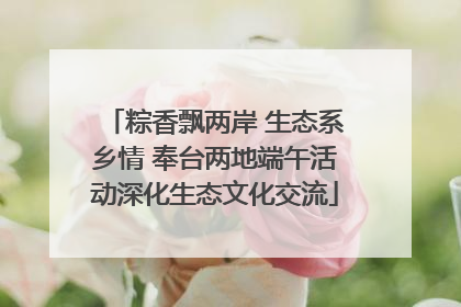 粽香飘两岸 生态系乡情 奉台两地端午活动深化生态文化交流