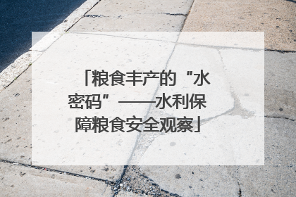 粮食丰产的“水密码”——水利保障粮食安全观察