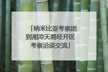 纳米比亚考察团到湘潭天易经开区考察洽谈交流