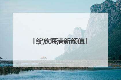 绽放海港新颜值