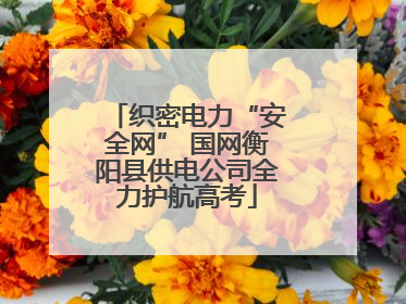 织密电力“安全网” 国网衡阳县供电公司全力护航高考