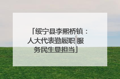 绥宁县李熙桥镇：人大代表勤履职 服务民生显担当
